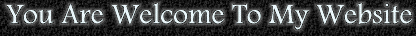 main.gif (8979 bytes)